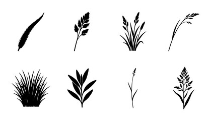 Botanical Silhouette Icons, Grass and Leaf Vector Elements, Nature Plant Graphics, Organic Design Assets © Lubna