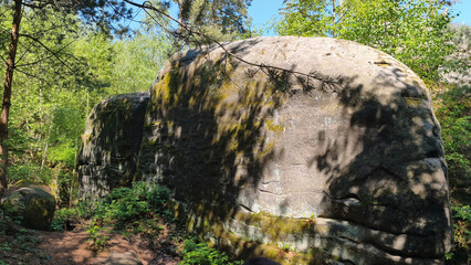 Fototapeta premium Prachov Rocks in Bohemian Paradise, Czech Republic in sunny spring day