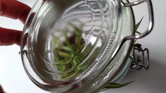 Water is poured onto a green plant growing in soil inside a glass jar terrarium