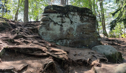 Fototapeta premium Prachov Rocks in Bohemian Paradise, Czech Republic in sunny spring day
