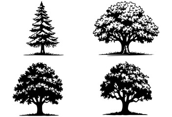 Fototapeta premium Silhouette collection of different tree variations on white background.