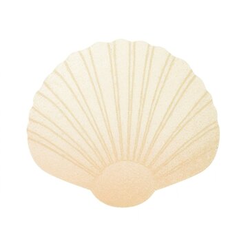Shell seashell clam white background.