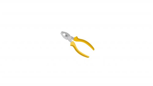 Needle Nose Pliers