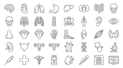 Fototapeta premium Human anatomy and medical line icons for healthcare and education