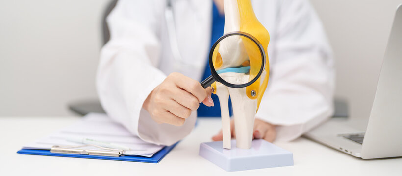 Doctor with Human Knee joint anatomy model. Osteoarthritis, Patellofemoral Pain Syndrome, Patellar Tendinitis, ACL, Anterior Cruciate Ligament, PCL, Posterior, MCL, Medial Collateral, LCL and Lateral