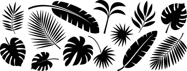 Tropical leaf silhouettes collection monstera palm and banana leaf vector graphics for design © Dhriti Roy