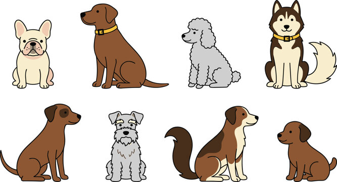 Dog breeds vector set featuring french bulldog labrador husky poodle schnauzer and puppy sitting characters for pet shop veterinary clinic website design
