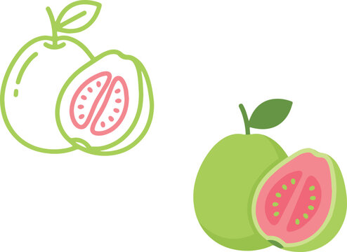 Guava Fruit Vector Icon Set &ndash; Tropical Food and Nutrition Graphics