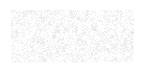 Abstract Topographic Terrain Texture with Seamless Contour Lines and Natural Forms Black and White Geographic Pattern Suitable for Digital and Print Media © ALAMA