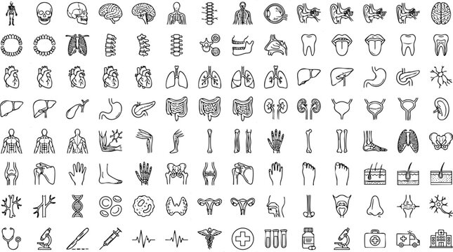 Veterinary clinic services and animal health care line icon set including medical equipment diagnostics pet treatment with veterinary