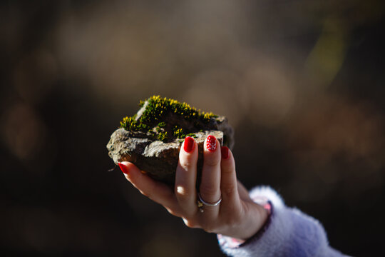 Rock forest green beautifull coyntryside greece flowers