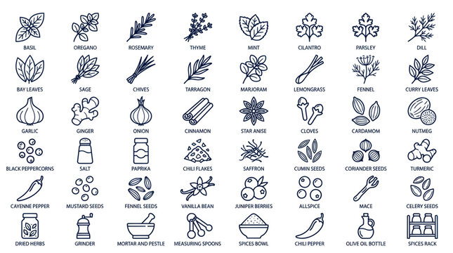 Collection of culinary herbs and spices line icons for cooking