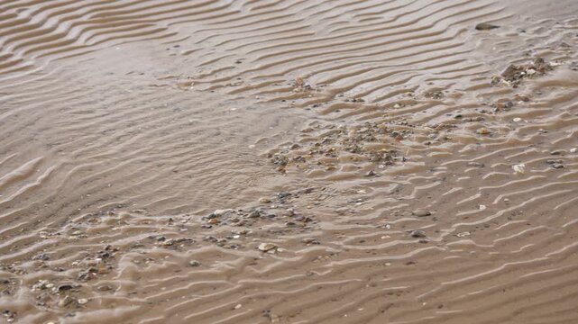 Glistening wet sand on a vast beach displays nature's delicate artwork. Intricate ripple marks and scattered tiny shells emerge beautifully as the tide ebbs during the day.