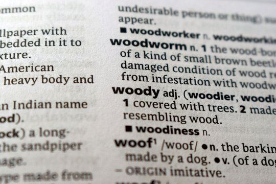 English Dictionary Page Close Up With The Word Definition Of - woody
