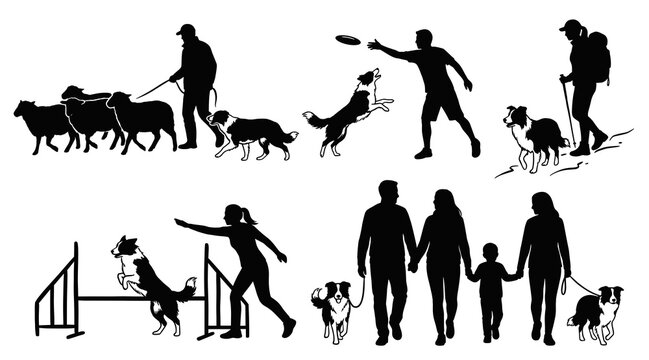 Active border collie vector silhouettes showing people herding sheep, family walking, agility training, and hiking for pet companion illustration