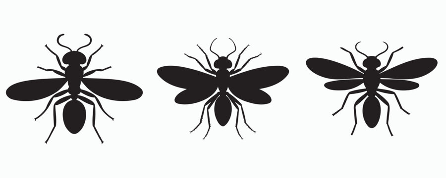 Black horsefly silhouettes in realistic side-view poses, isolated on a light background. Ideal for entomology, pest control, wildlife, and insect-themed graphic design projects.