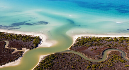 Obraz premium Aerial drone view of pristine tropical beach shoreline with winding tidal river inlet and mangrove vegetation tropical mangrove shoreline landscape coastline vacation environment paradise
