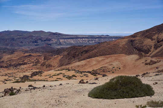Caldera panorama with endemic retama shrub