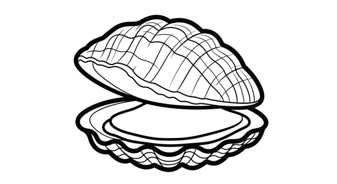 Detailed black and white line drawing of an open clam shell showing its textured outer surface and smooth interior.