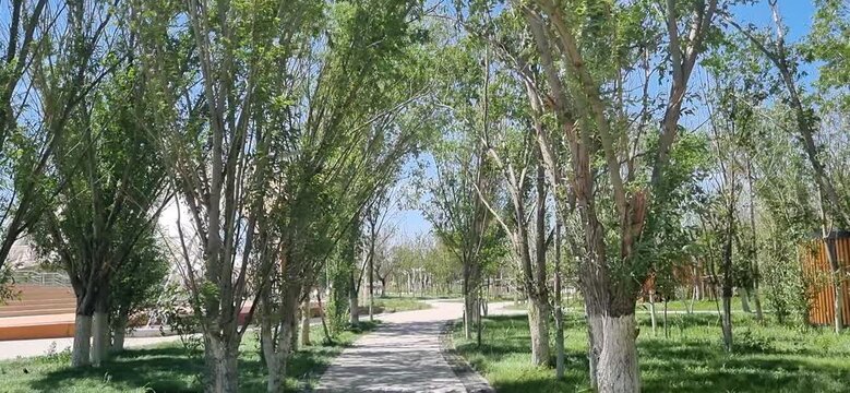 Walking Along a Park Path in Kyzylorda, Kazakhstan