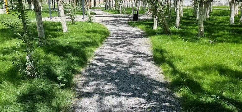 Walking Along a Gravel Path Through a Green Park in Kazakhstan