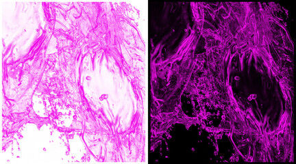 Obraz premium Microscopic biological cell structure in vibrant magenta, fluorescent protein imaging of neural networks, abstract scientific medical background