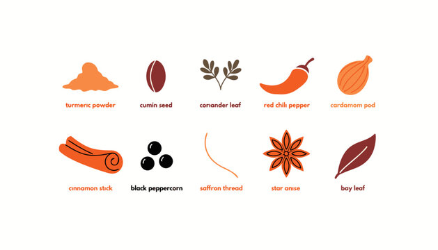 Collection of various cooking spices