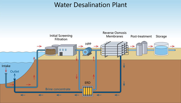 seawater desalination with intake, filtration, high pressure pump, reverse osmosis membranes, treatment, and storage diagram hand drawn schematic raster. Science educational illustration