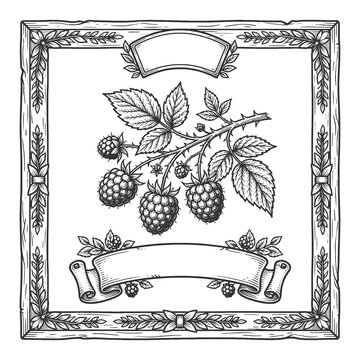 vintage label illustration featuring raspberries on a leafy thorn branch, rustic border, and blank ribbon banner sketch engraving generative ai raster illustration. Scratch board. Black and white.