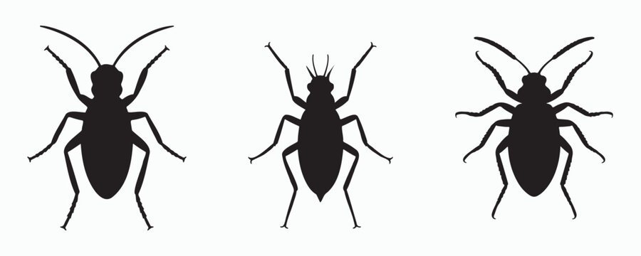 Set of black aphid silhouettes in different views, isolated on a light background. Simple insect vector icons for entomology, agriculture, pest management, identification, and educational use.