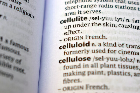 Close Up Of English Explanation Dictionary Page Word Of - cellulite