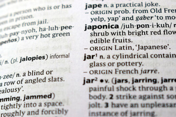 Fototapeta premium Definition Of English Dictionary Close Up Of Page With Word - japonica