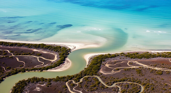 Aerial view of winding river estuary meeting the ocean with sandy beach landscape coastline environment mangrove wilderness geography topography seascape outdoors