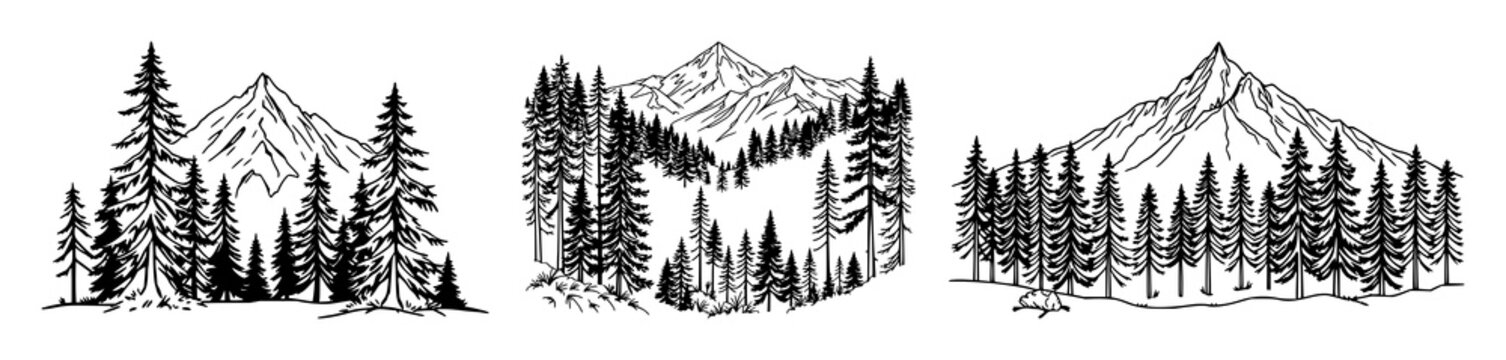 Wild forest pines and mountain peaks, black line art, white background set with simple line art design featuring line art, illustrations, graphic resources with vector and design elements