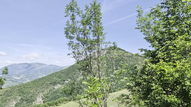 Paesaggio montano verde e soleggiato, con alberi in primo piano e colline ricoperte di vegetazione sotto un cielo limpido