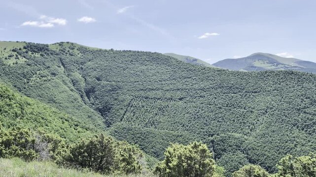 Paesaggio montano verde e luminoso, con pendii ricoperti di vegetazione e cielo sereno. Una scena naturale ampia e rilassante