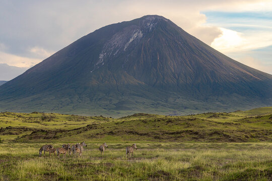 Life Beneath The Sleeping Volcano
