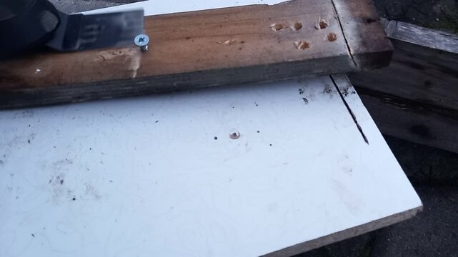 Cutting action of multi tool on wood with screw