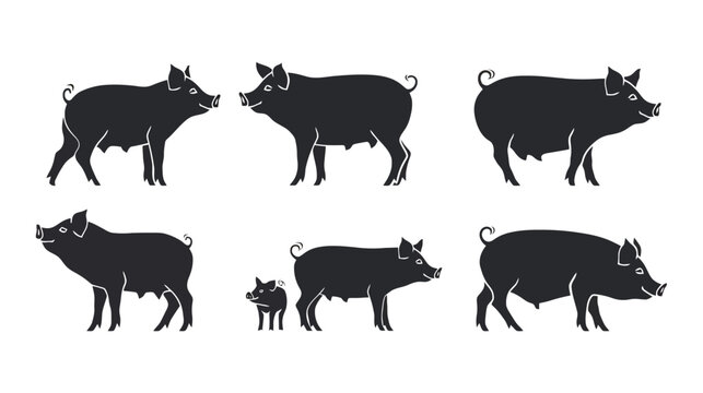Six black silhouettes of pigs and a piglet in various poses on a white background, depicting different sizes and forms of swine.