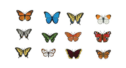 Collection Of Colorful Butterflies On A White Background Detailed Vector Illustration butterfly lepidoptera insect insects wings wing monarch © Sagor