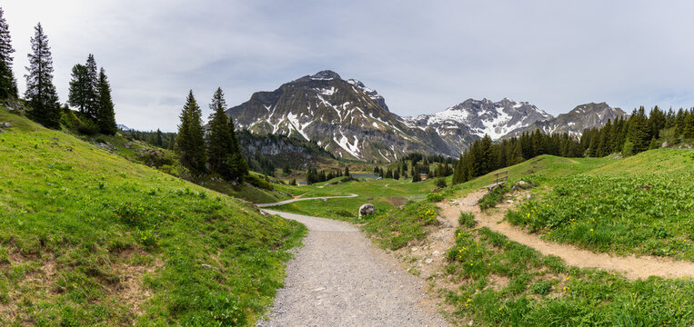 panorama with wooden holiday house on spring colored meadows. spring in forested mountains with foggy sky. hiking area in Bregenz forest, Vorarlberg, Austria. holiday destination for hike and skiing