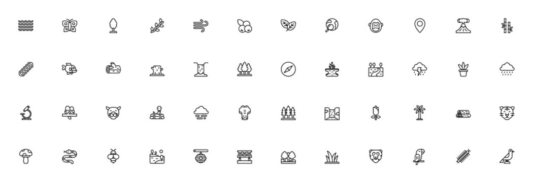 Rainforest icon set. Minimalist line art vector pack. Tropical jungle icons. Featuring river, butterfly, tree, vines, explorer, gorilla, waterfall and more. Editable stroke.