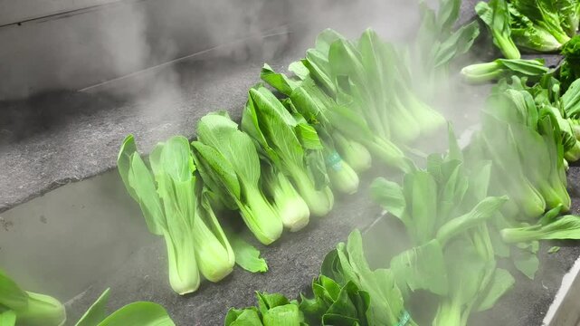 Crisp green bok choy or Chinese cabbage on a supermarket shelf being automatically misted with a cool, refreshing water vapor to maintain freshness and crispness for shoppers. Transition, 4k, 60fps