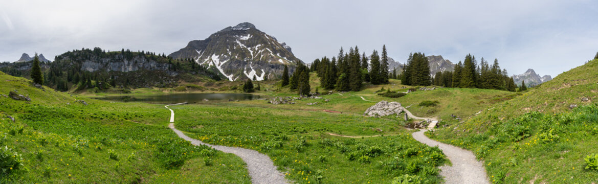 panorama with wooden holiday house on spring colored meadows. spring in forested mountains with foggy sky. hiking area in Bregenz forest, Vorarlberg, Austria. holiday destination for hike and skiing