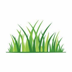 Fototapeta premium Green Grass Illustration
