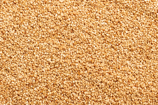 Golden sesame seeds with textured surface. Agricultural background 