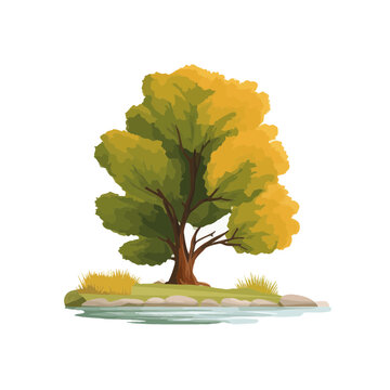 Colorful Alder Tree Beside Water in Autumn