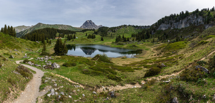 panorama with springtime colored meadows surrounding blue alpine lake in spring between forested mountains. hiking area in Bregenz forest, Vorarlberg, Austria. holiday destination for hike and skiing