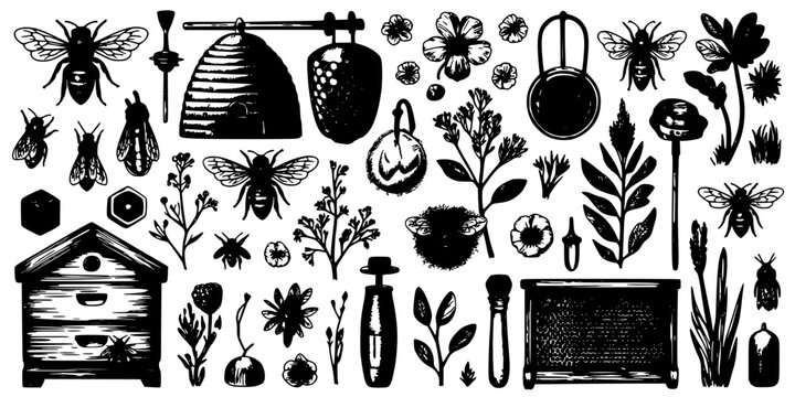 Bee, Flower and Insect Set of Vintage Engravings with Hives, Leaves and Ornate Botanical Silhouettes