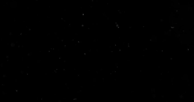 Super slow motion falling snow or dust particles isolated on a black background. Abstract atmospheric SFX overlay with floating debris, cinematic texture and dark visual effect.